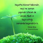 Hayatta Hikmet Hakimdir