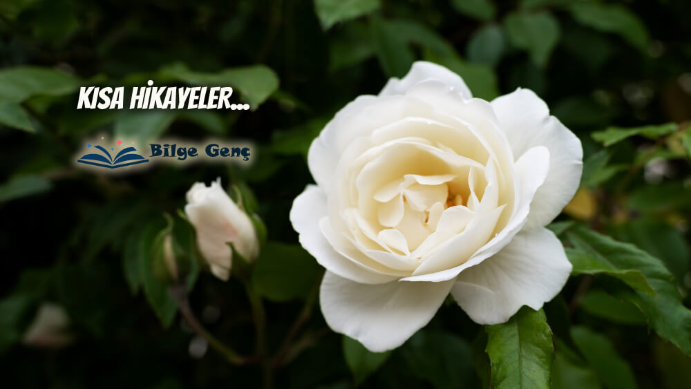 ÖLMEYEN SEVGİ
