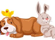 KÖPEK İLE TAVŞAN HİKAYESİ